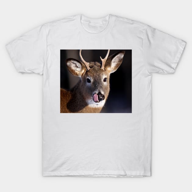 Young Whitetail Buck T-Shirt by Jim Cumming